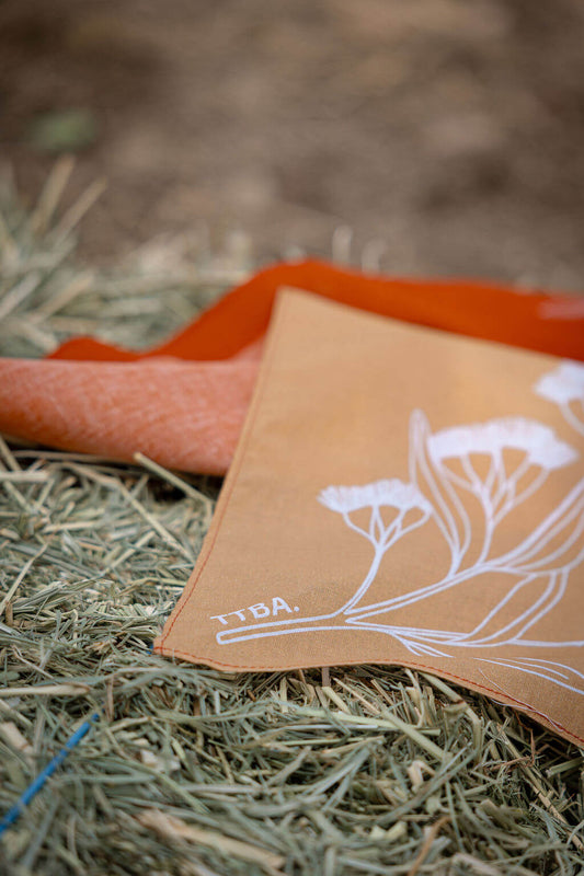 Two tone bandana laying over a hay bale