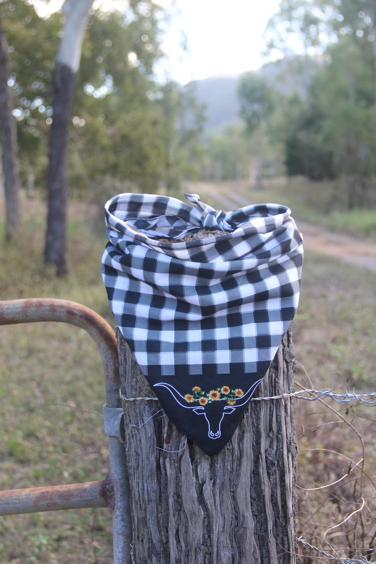100% Cotton Bandana | Lady Longhorns
