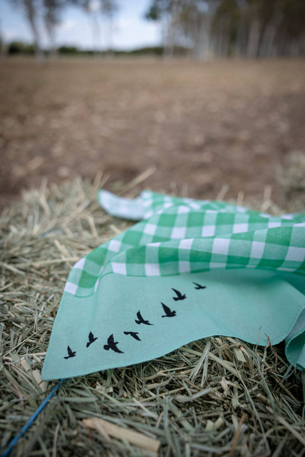 100% Cotton Bandana | Wild Grassland