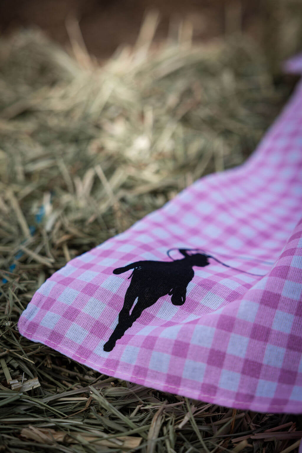 100% Cotton Bandana | Lasso Love